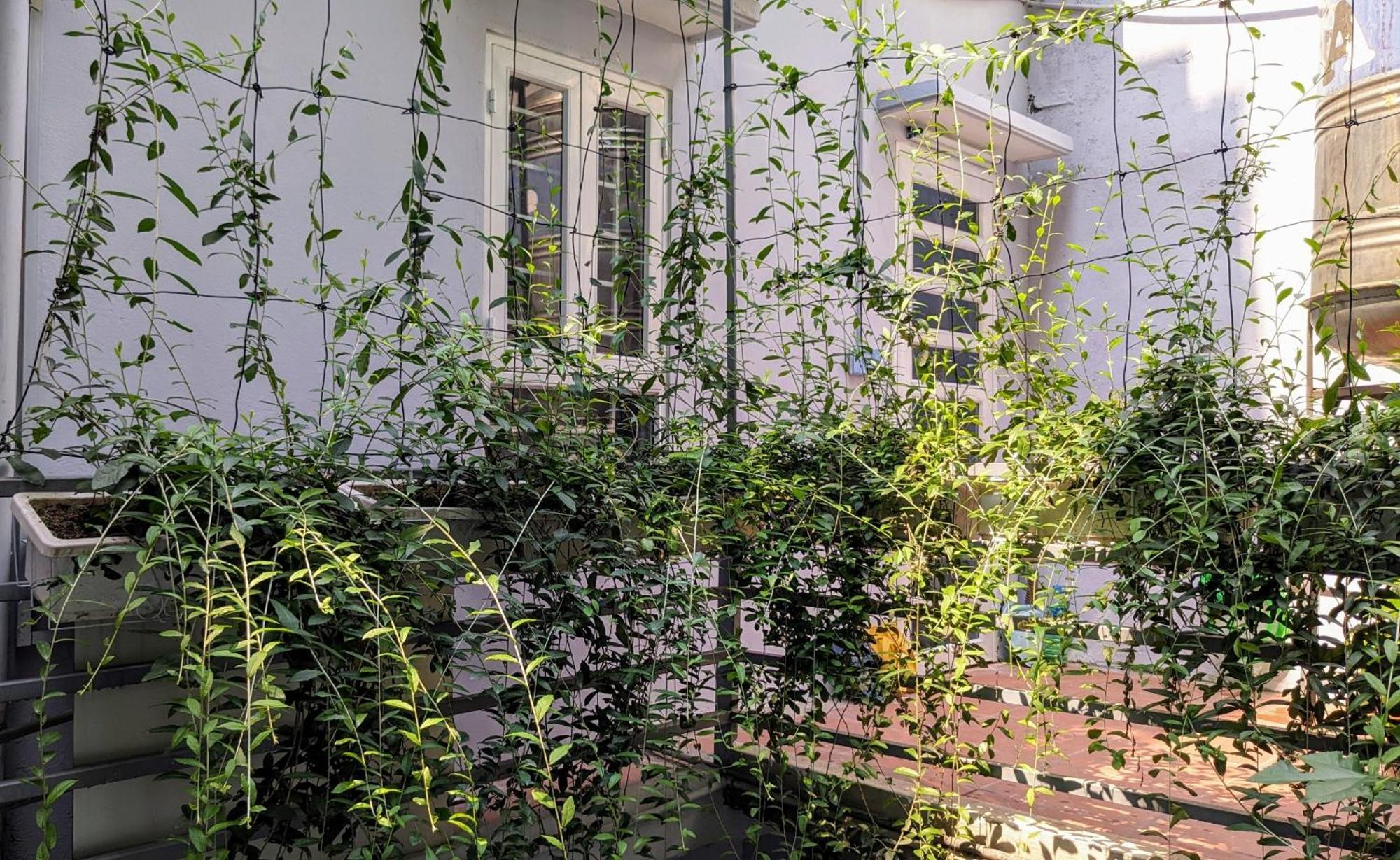 Goc Nho Ha Noi Homestay Hanoi Esterno foto